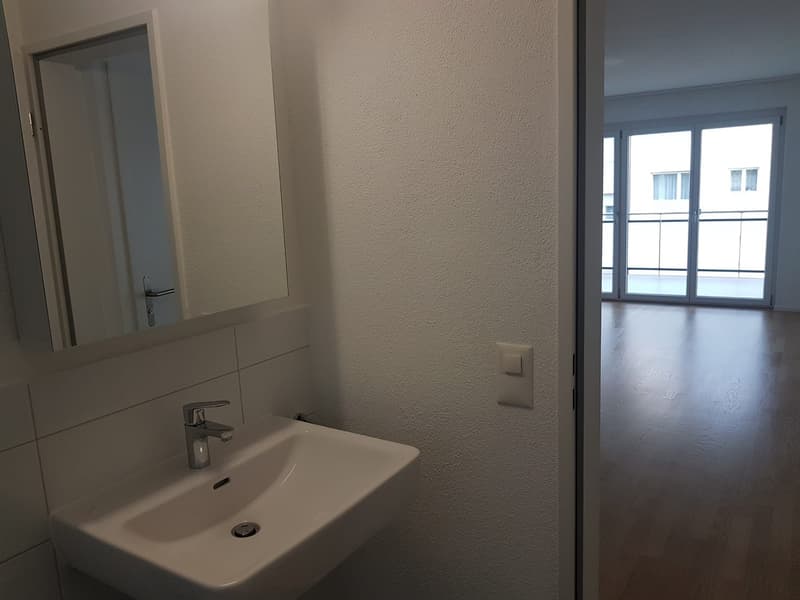 Beautiful apartment in Affoltern am Albis (4)