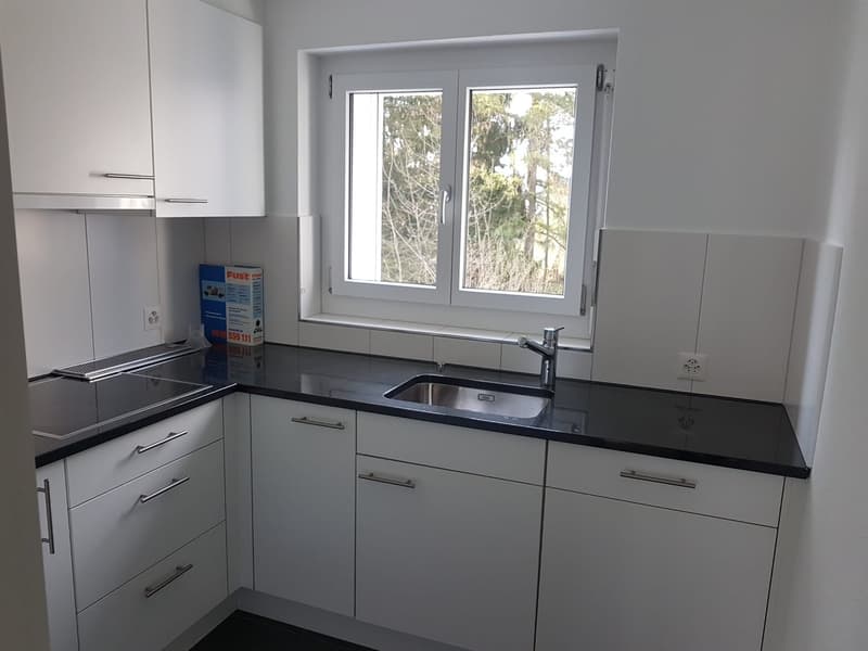 Beautiful apartment in Affoltern am Albis (2)