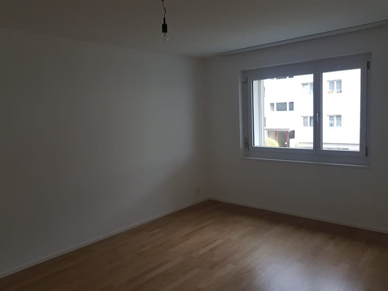 Beautiful apartment in Affoltern am Albis (9)