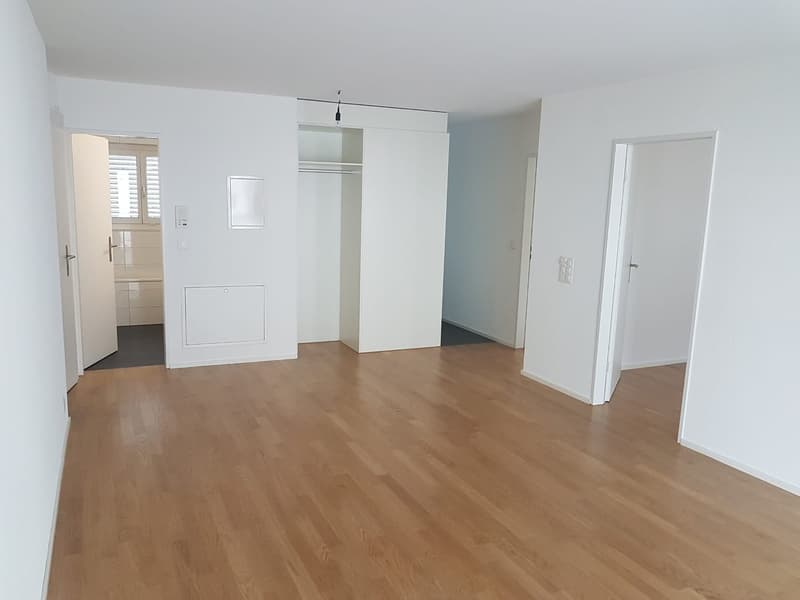 Beautiful apartment in Affoltern am Albis (12)