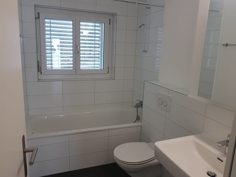 Beautiful apartment in Affoltern am Albis (5)