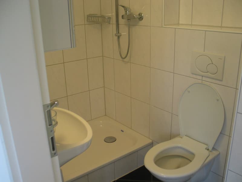 Temporaire jusqu'au 30.09.2028 - Appartement 4.5 pièces avec balcon (12)