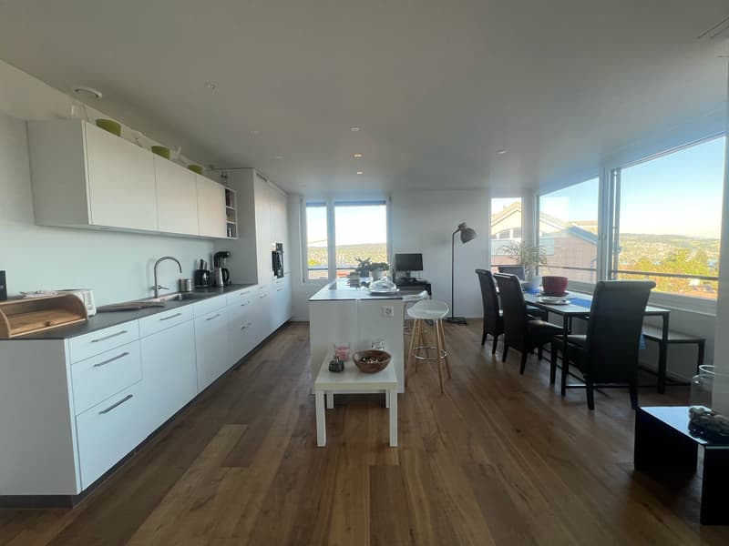 Modern 2.5 room apartment in Kilchberg for rent (2)
