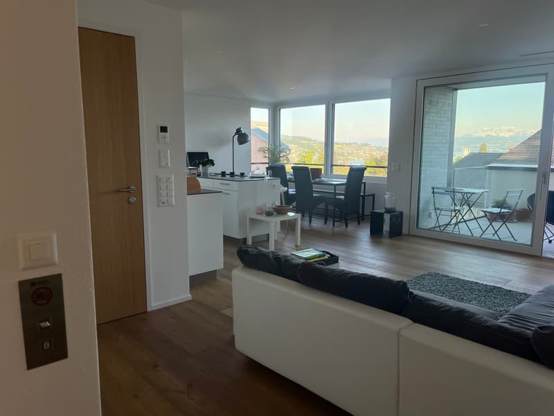 Modern 2.5 room apartment in Kilchberg for rent (3)