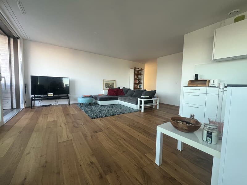 Modern 2.5 room apartment in Kilchberg for rent (7)