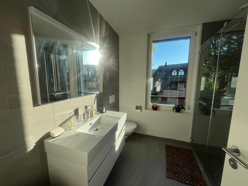 Modern 2.5 room apartment in Kilchberg for rent (6)