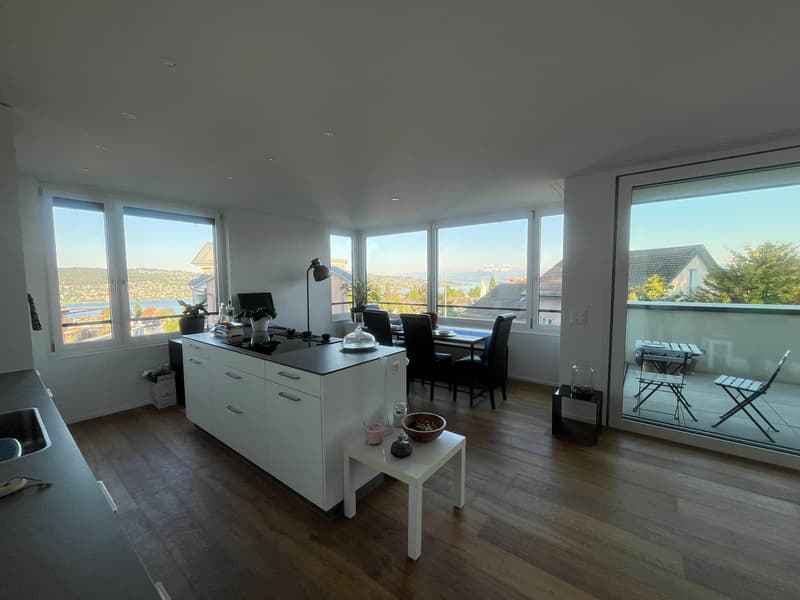 Modern 2.5 room apartment in Kilchberg for rent (1)