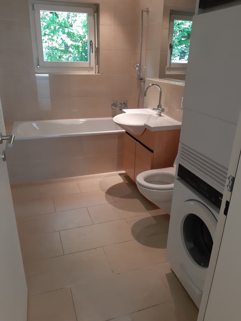 Appartamento accogliente di 2 ½ locali sul lago (11)