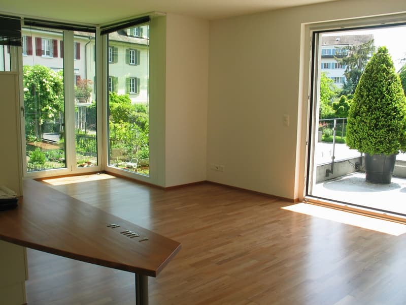 Appartamento accogliente di 2 ½ locali sul lago (7)