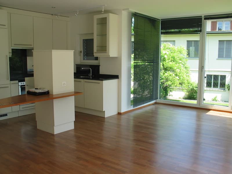 Appartamento accogliente di 2 ½ locali sul lago (4)