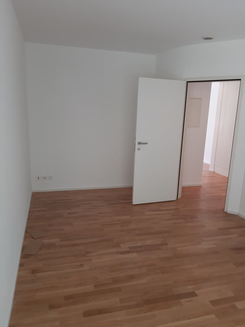 Appartamento accogliente di 2 ½ locali sul lago (10)