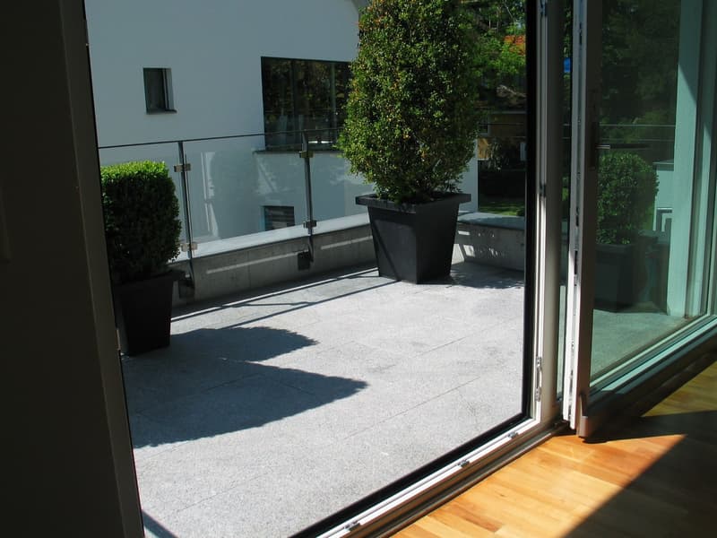 Appartamento accogliente di 2 ½ locali sul lago (9)