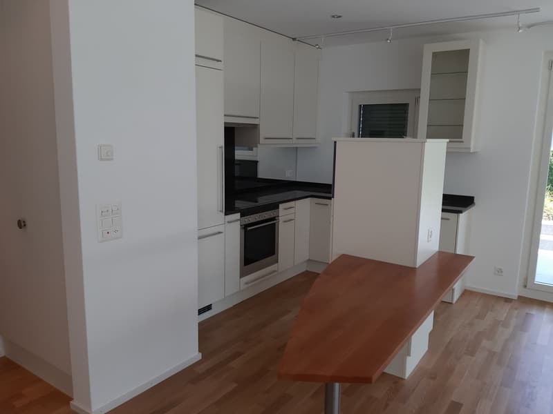 Appartamento accogliente di 2 ½ locali sul lago (5)