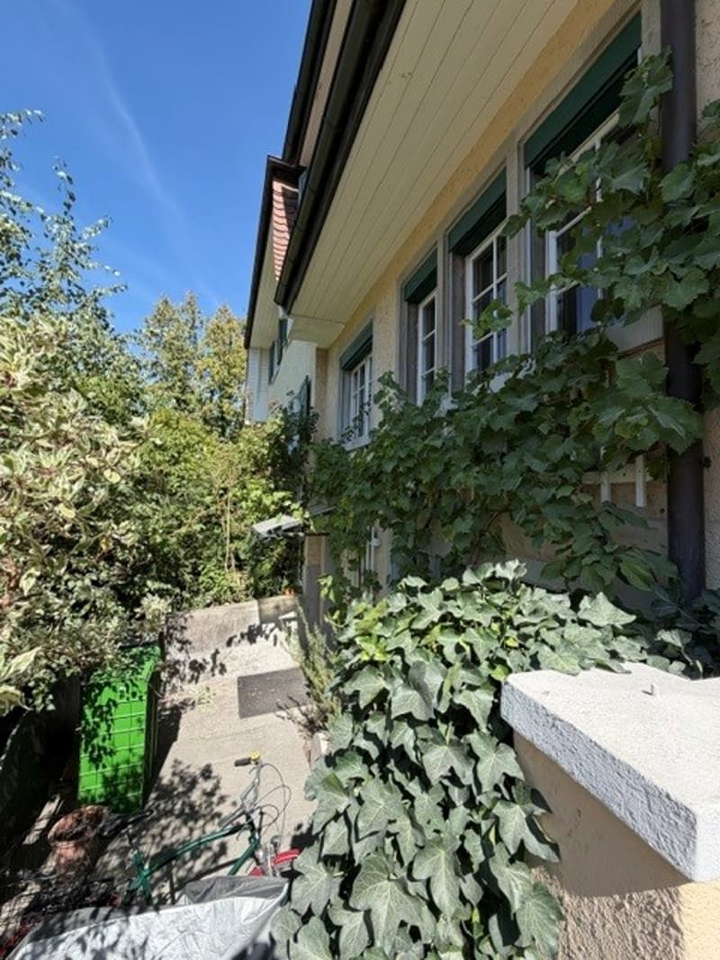 Charmantes Reiheneinfamilienhaus nähe Schaffhauserplatz (2)