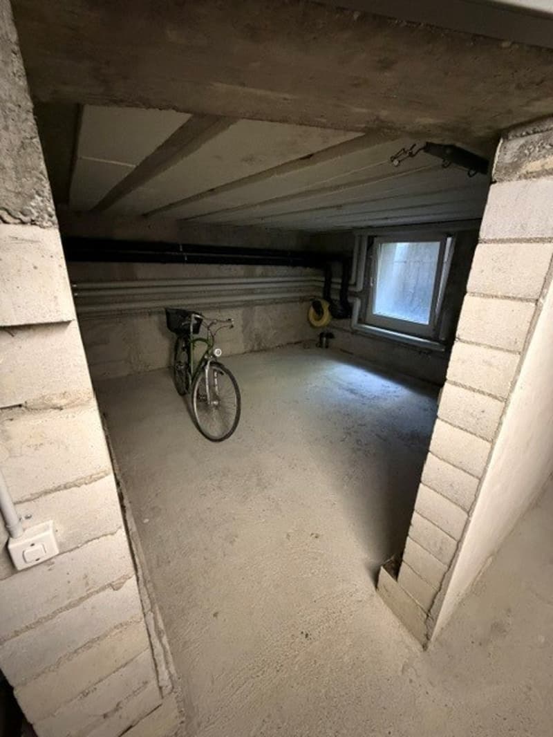 Charmantes Reiheneinfamilienhaus nähe Schaffhauserplatz (19)