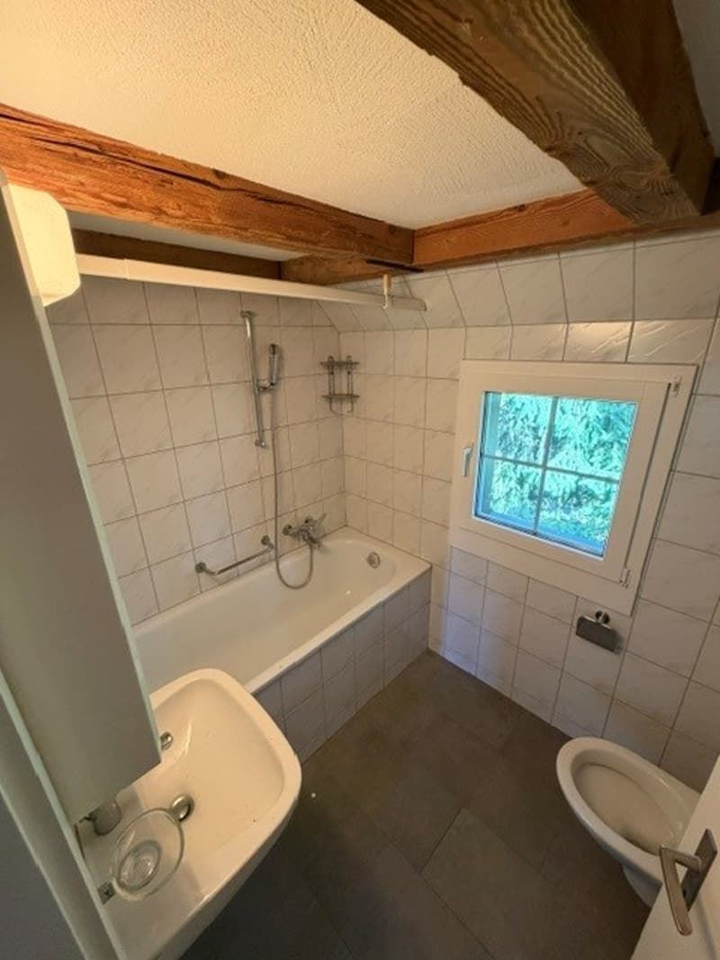 Charmantes Reiheneinfamilienhaus nähe Schaffhauserplatz (11)