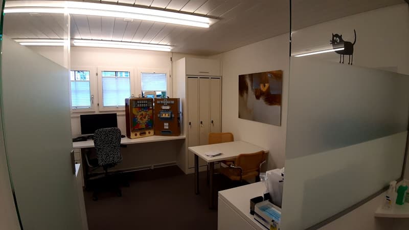 Gewerbe im EG zu vermieten (5)