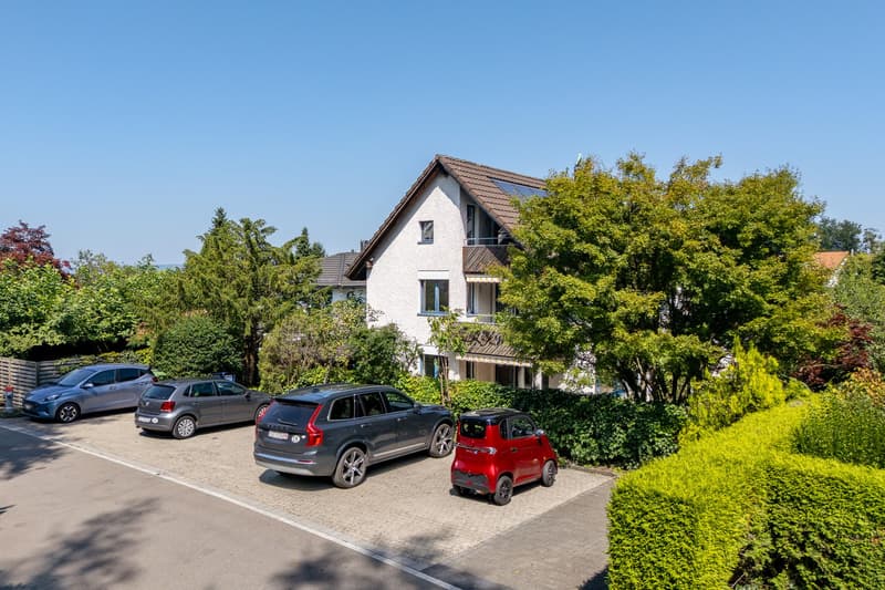 detached house, white facade, brown roof, solar panels, car park with four cars, large garden, hedges