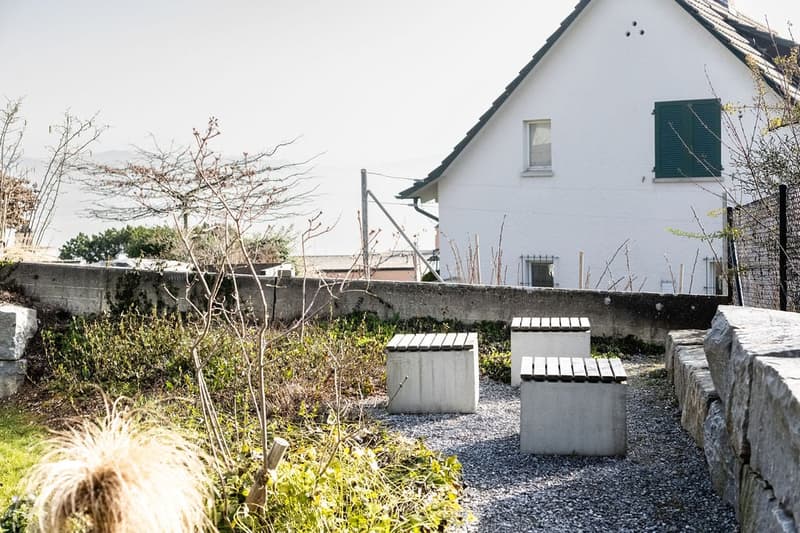 concrete boxes, small plants, gravel path, concrete wall, house in the background