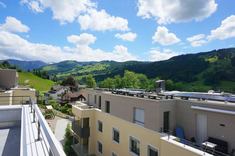 New building: residential and commercial house - multi-generation house (Minergie-P) (5)