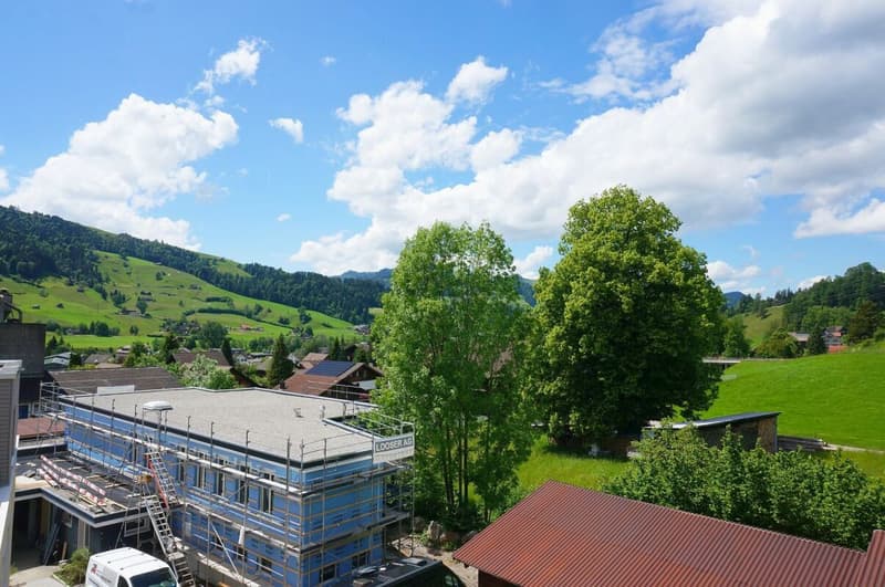 New building: residential and commercial house - multi-generation house (Minergie-P) (4)