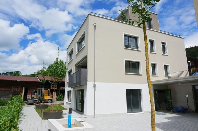 New building: residential and commercial house - multi-generation house (Minergie-P) (2)