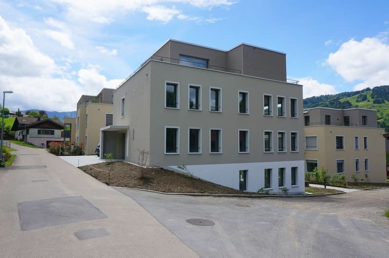 New building: residential and commercial house - multi-generation house (Minergie-P) (3)