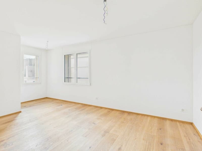 Edificio nuovo - primo affitto / appartamento 4,5 locali OG1 (7)