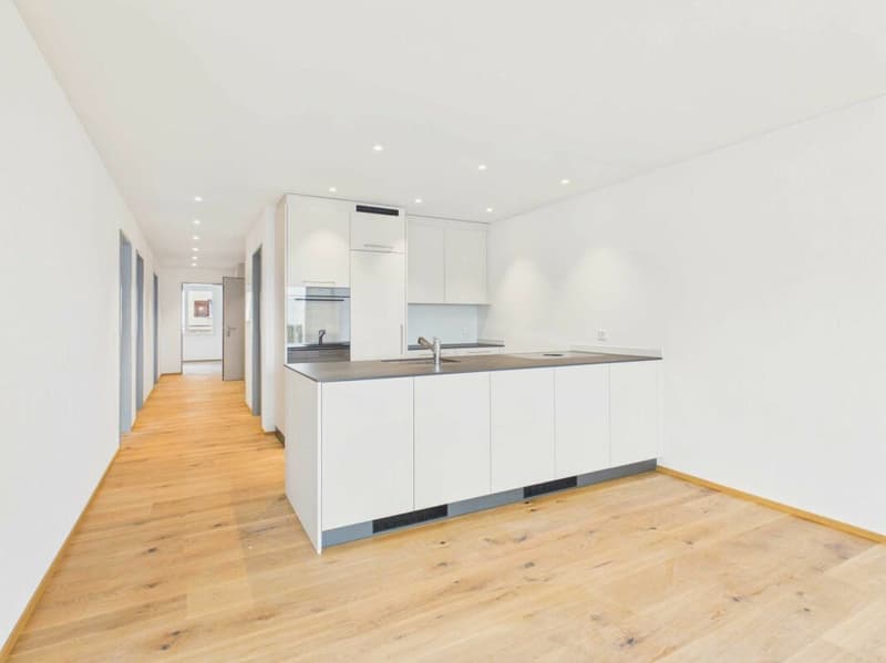Edificio nuovo - primo affitto / appartamento 4,5 locali OG1 (2)