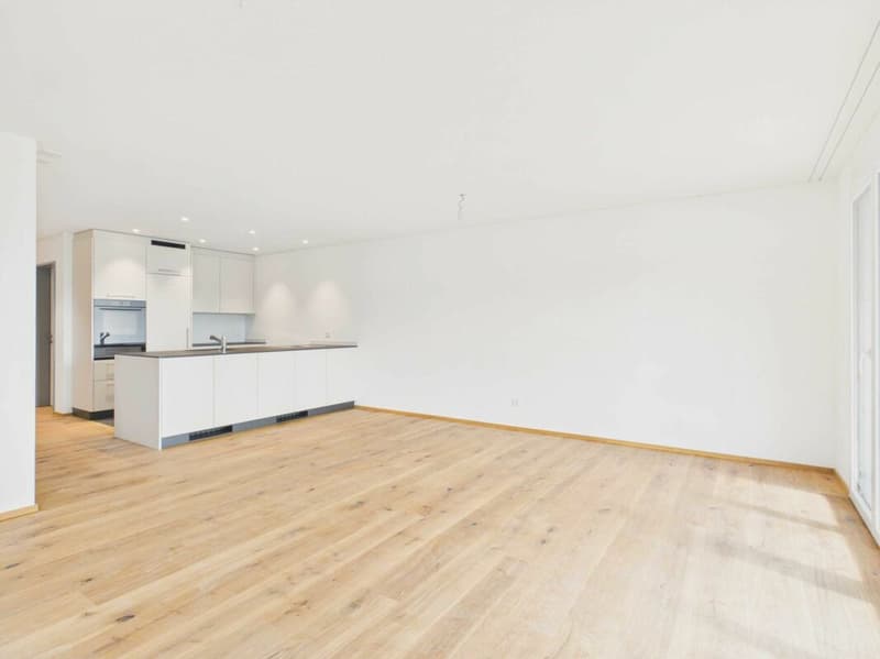Edificio nuovo - primo affitto / appartamento 4,5 locali OG1 (1)