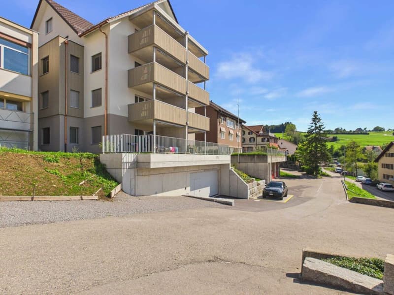 Neubau - Erstbezug / 4½-Zimmerwohnung OG1 (9)