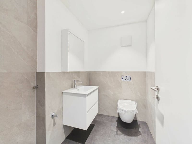 Edificio nuovo - primo affitto / appartamento 4,5 locali OG1 (6)