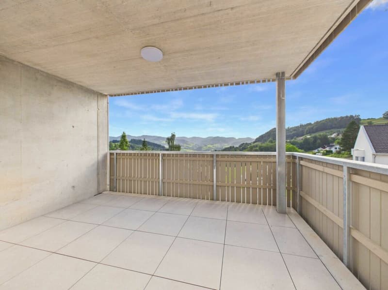 Edificio nuovo - primo affitto / appartamento 4,5 locali OG1 (3)