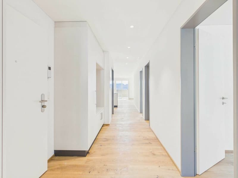 Edificio nuovo - primo affitto / appartamento 4,5 locali OG1 (5)