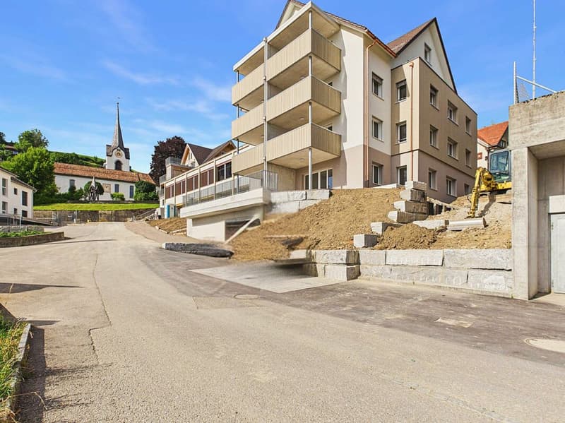 Edificio nuovo - primo affitto / appartamento 4,5 locali OG1 (10)