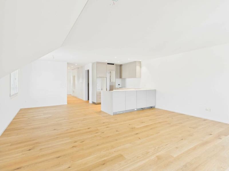 Neubau - Erstbezug / 3½-Zi.-Maisonette-Wohnung Dachgeschoss (2)
