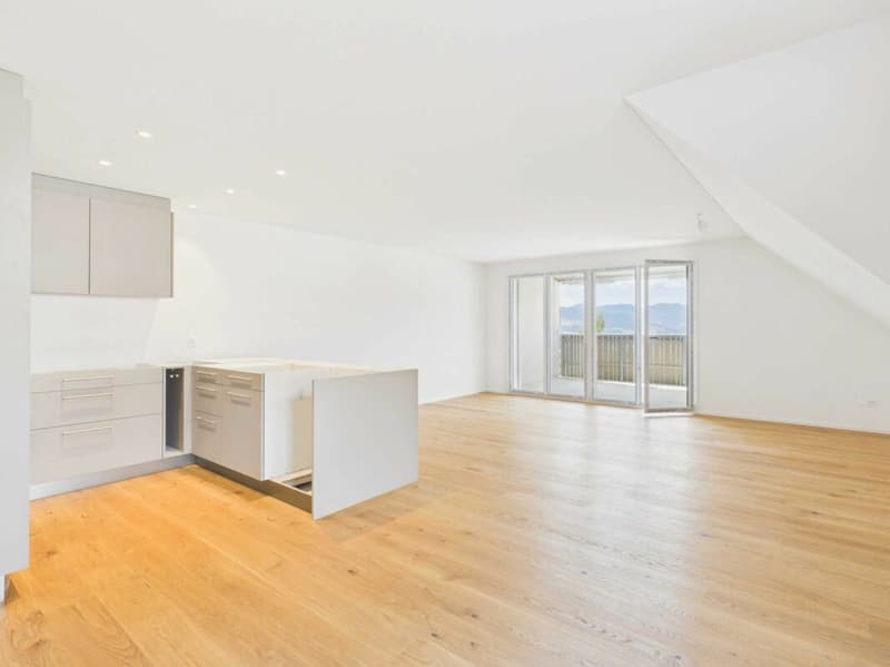 Neubau - Erstbezug / 3½-Zi.-Maisonette-Wohnung Dachgeschoss (1)