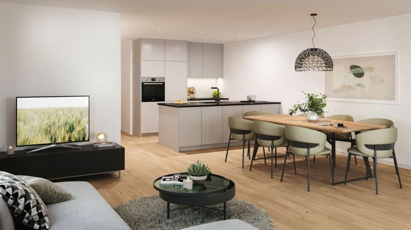 Costruzione nuova - Prima occupazione / Appartamento-mansarda 4,5 locali sottotetto (9)