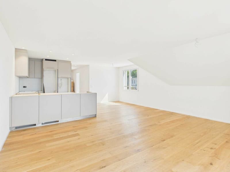 Neubau - Erstbezug / 4½-Zi.-Maisonette-Wohnung Dachgeschoss (2)