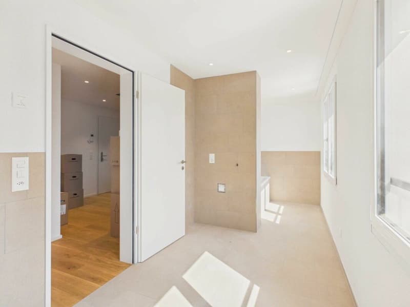 Neubau - Erstbezug / 4½-Zi.-Maisonette-Wohnung Dachgeschoss (5)