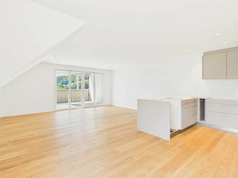 Neubau - Erstbezug / 4½-Zi.-Maisonette-Wohnung Dachgeschoss (3)