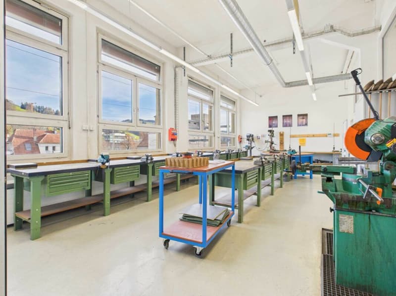 Spazi Commerciali/Uffici in Posizione Centrale (13)