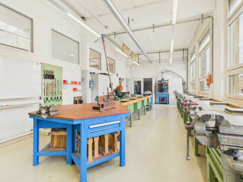 Spazi Commerciali/Uffici in Posizione Centrale (12)