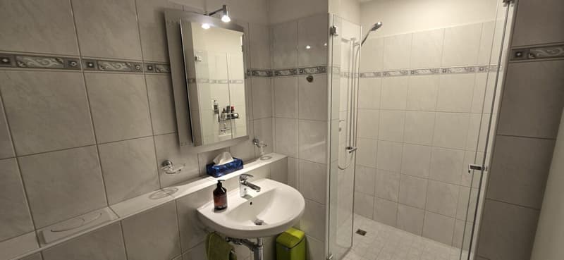 Ankommen statt einrichten - Möblierte 4.5 Zimmer mit Charakter (13)