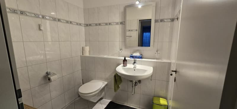 Ankommen statt einrichten - Möblierte 4.5 Zimmer mit Charakter (12)