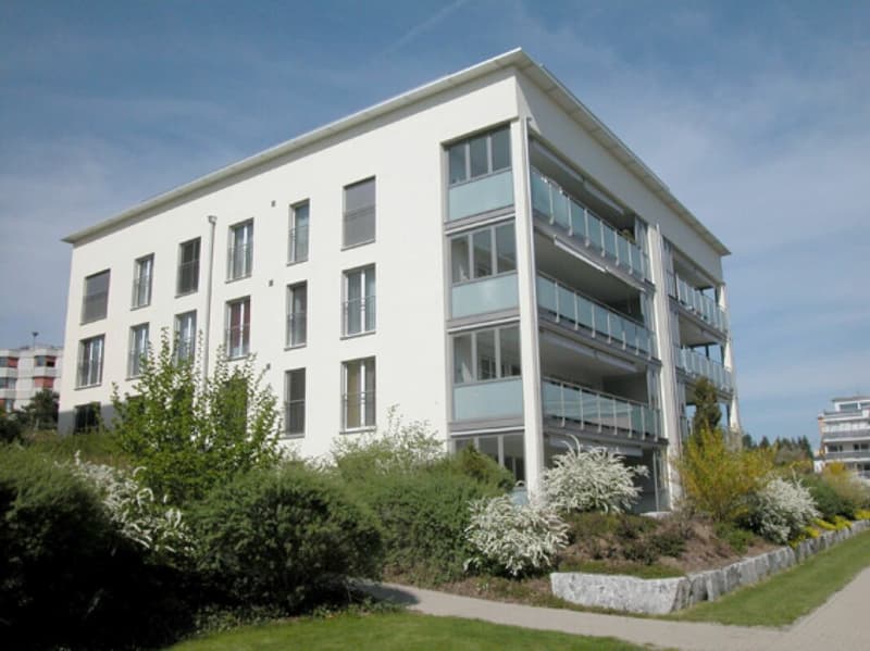 Ankommen statt einrichten - Möblierte 4.5 Zimmer mit Charakter (1)