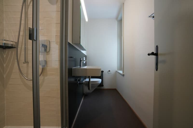 Vivere con stile nel centro di Wil (10)