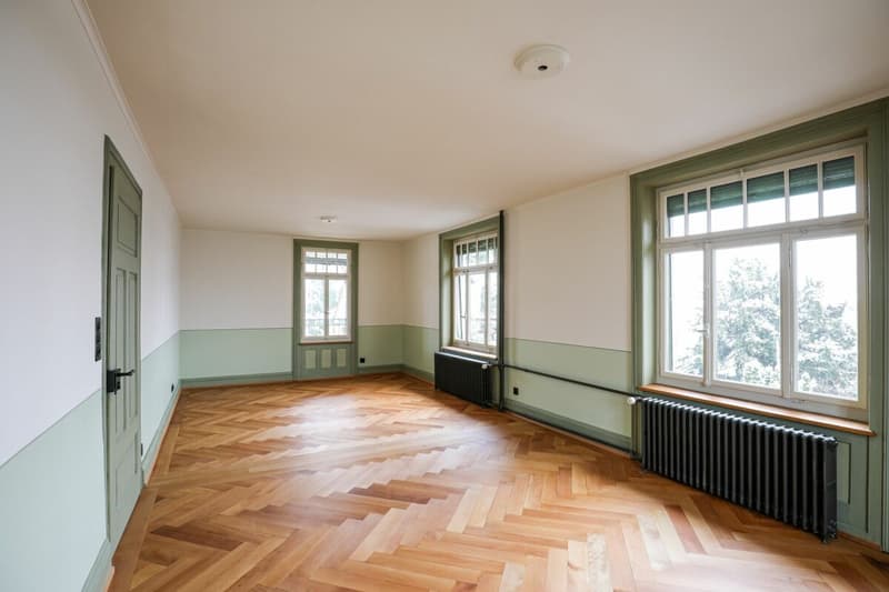 Vivere con stile nel centro di Wil (11)