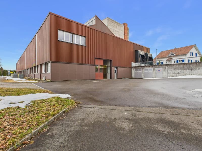 Spazio commerciale attraente di circa 464 m2 (1)