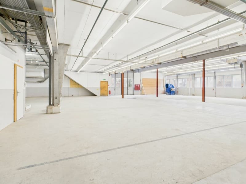 Spazio commerciale attraente di circa 464 m2 (6)